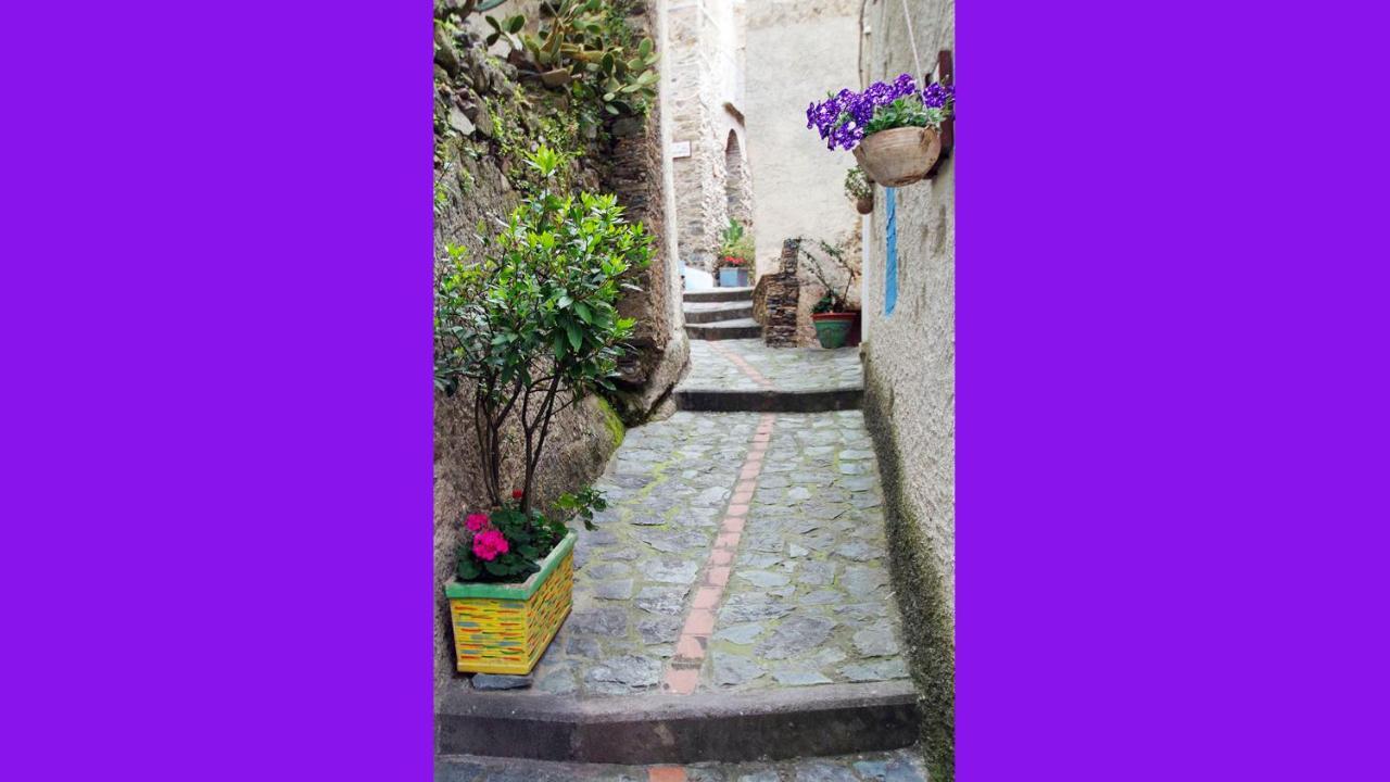 Albergo Diffuso Ecobelmonte Belmonte Calabro Exterior photo